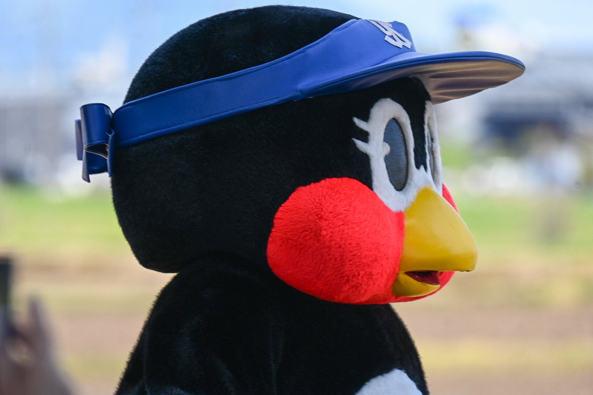 つばみ - Search / X