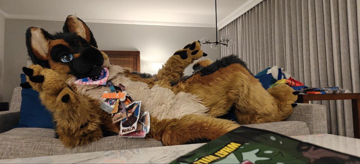 It’s SHEPTEMBER ! Thanks <a href="/MegaplexCon/">Megaplex</a> for a great time . Loved it . Who wants a Sheppy cuddle ?