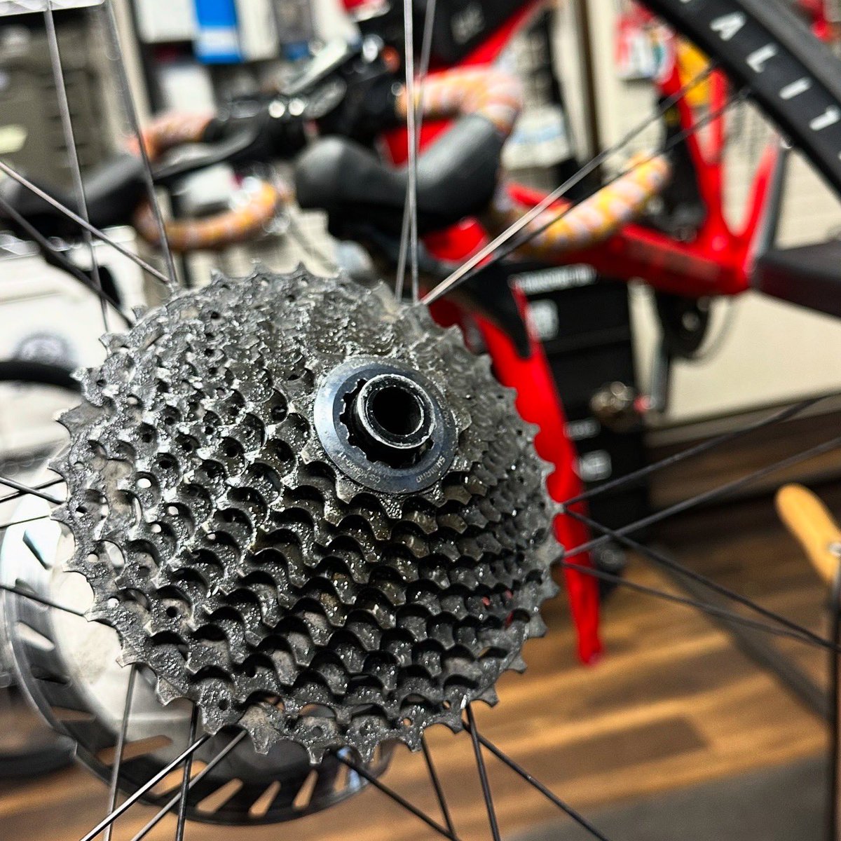 もったいない⭐︎ 名東】【GUCCI】グッチ アディダス コラボ ハイカット