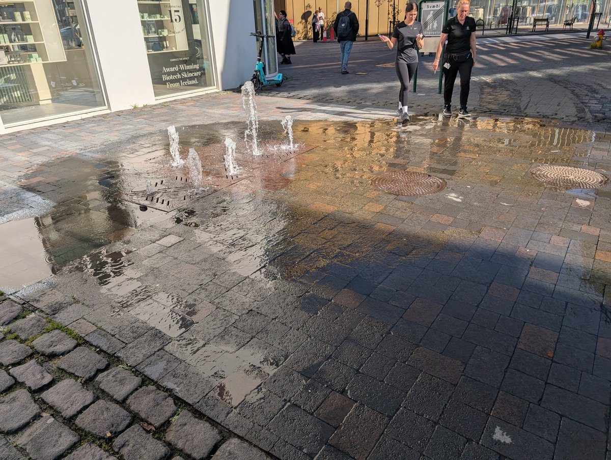 Margt er nú til heimskulegt - en að öðru ólöstuðu þá held ég að þessi sprungna vatnslögn sé eitt það heimskulegasta
