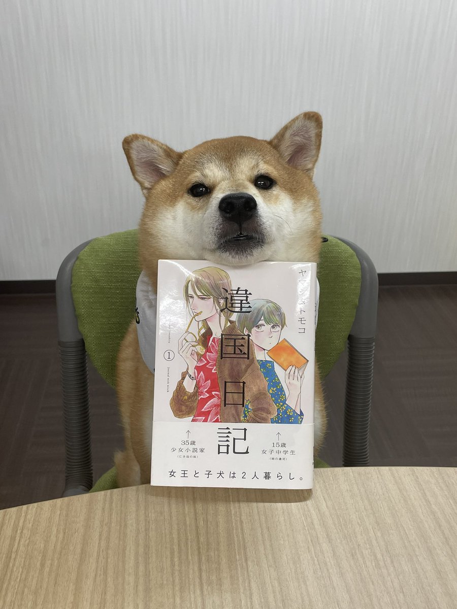 副社長からもよろしくワン🐶
#違国日記