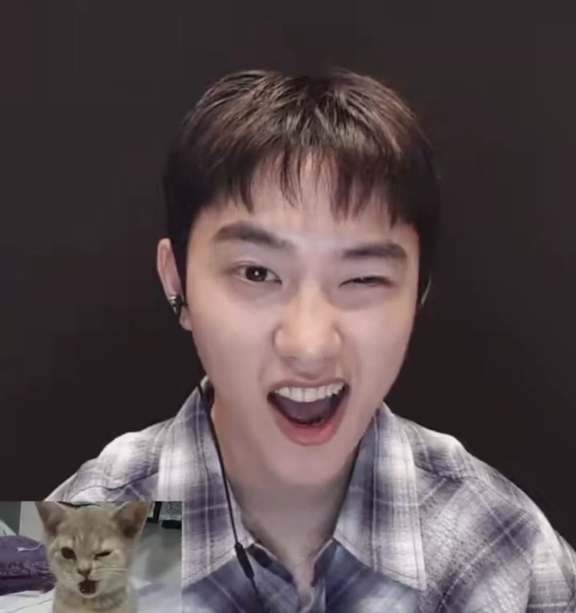 arlelist's tweet photo. PLEASE BE NICE TO HIM 😭😭😭😭 HE’S ONLY 15 MINUTES OLD 😭😭😭😭😭😭😭😭😭😭😭😭😭😭😭😭😭😭😭😭😭😭😭😭😭😭😭😭😭😭😭😭😭😭😭😭😭😭😭😭😭😭😭😭😭😭😭😭😭😭😭😭😭😭😭😭😭😭 https://t.co/fHr2ZQVPmd