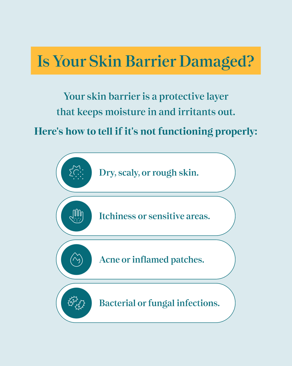 forefrontderm's tweet photo. Is your skin barrier damaged? 🧐 Swipe for symptoms and tips on how to restore it with ceramides, hyaluronic acid, and gentle skincare. 

#SkinBarrier #Skincare https://t.co/heqWU8mytZ