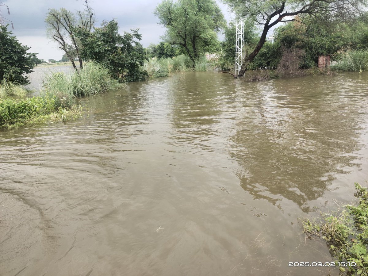 जिला करौली, तहसील टोडाभीम, के गाँवो-करीरी,चकगाजीपुर, गाजीपुर, मेरेड़ा, खेडी,गोपालपुरा , मंडेरू, जोधपुर आदि मे बाढ आने से किसानो की पूरी फसल नष्ट हो गयी। जिससे किसानो को बहुत नुकसान हुआ है। मुख्यमन्त्री जी से निवेदन है की किसानो को उचित मुआवज़ा दे।
<a href="/BhajanlalBjp/">Bhajanlal Sharma</a> 
<a href="/DrKirodilalBJP/">Dr. Kirodi Lal Meena</a>