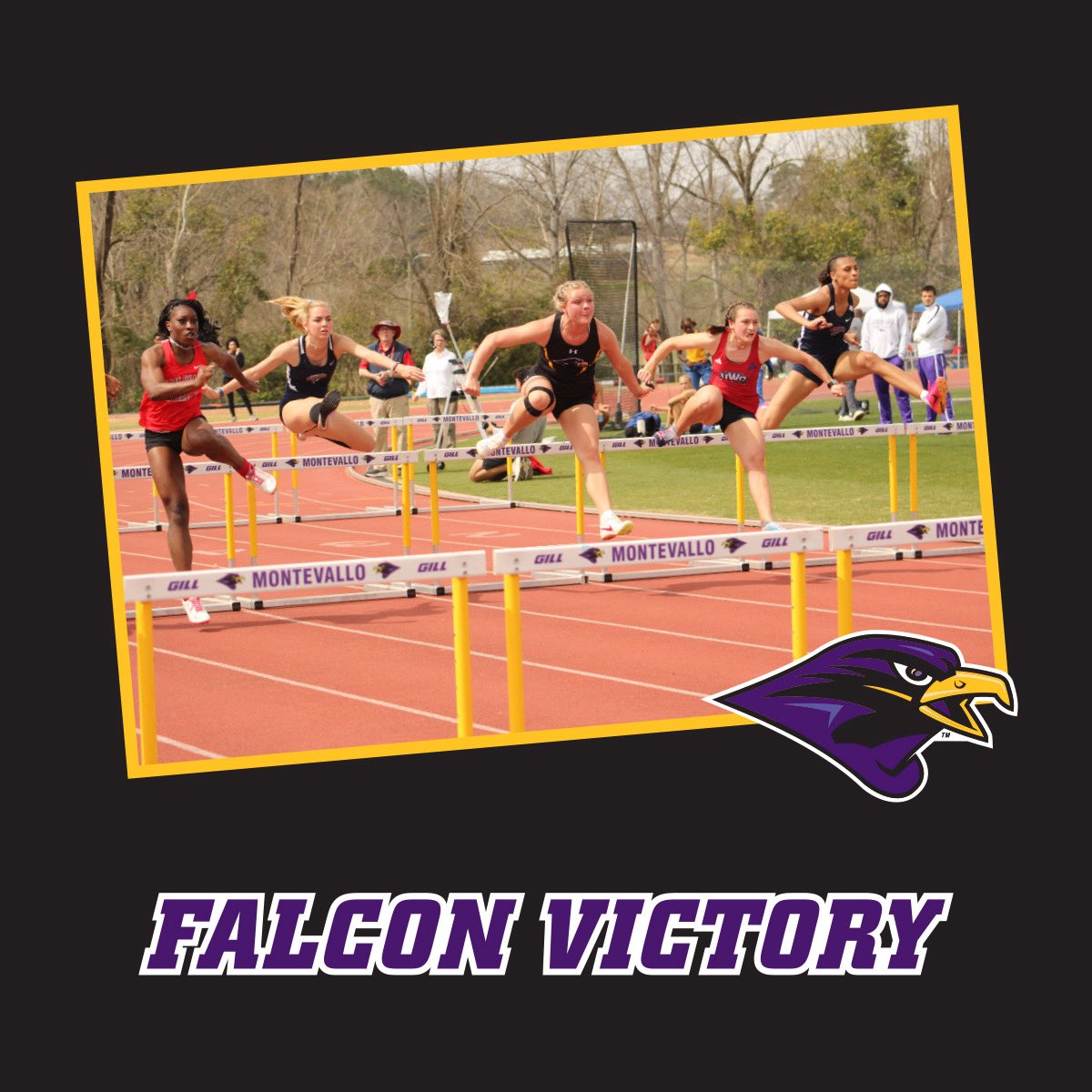 Montevallo XC and T&F (@xctf_montevallo) on Twitter photo The UM Cross Country and Track & Field programs are competing in the Fourth Annual Falcon Victory Campaign. Your support helps us achieve more victories this season! Support us by making your gift today at givecampus.com/y68yhd Let’s do this!
#TogetherWeRise #FalconVictory25 The UM Cross Country and Track & Field programs are competing in the Fourth Annual Falcon Victory Campaign. Your support helps us achieve more victories this season! Support us by making your gift today at givecampus.com/y68yhd Let’s do this!
#TogetherWeRise #FalconVictory25