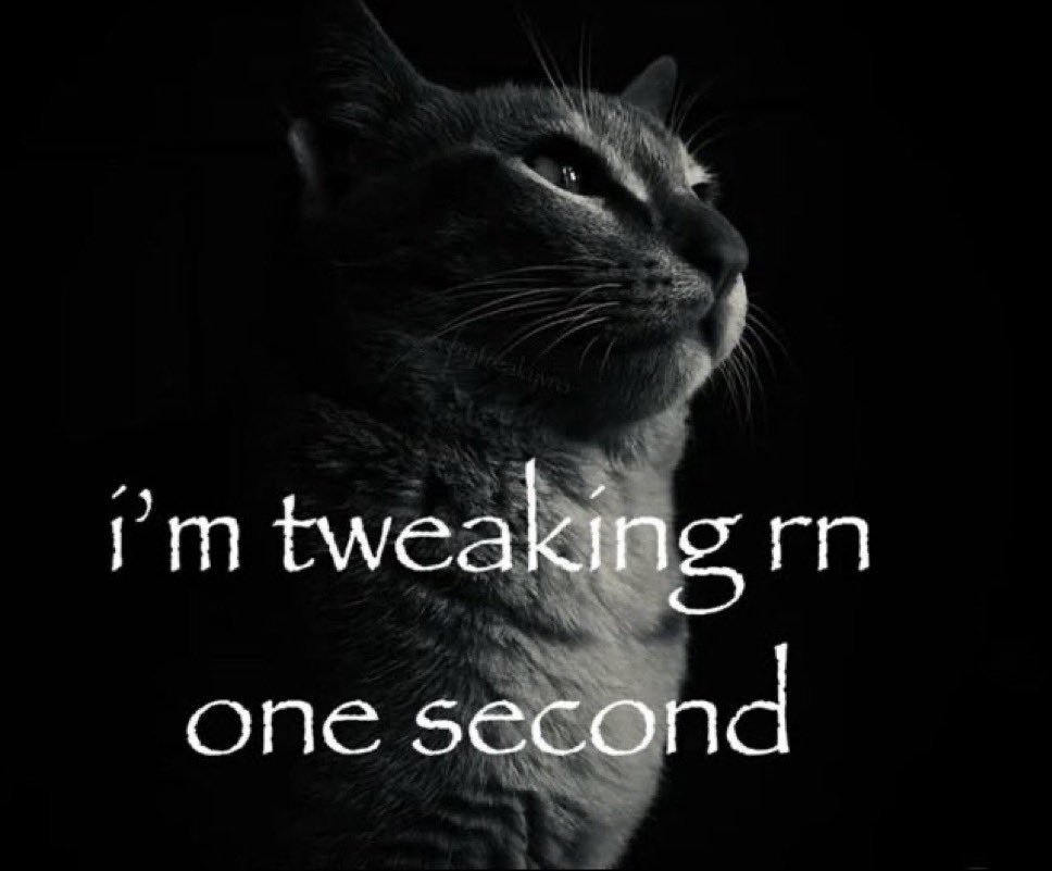 joejoejoe3456's tweet image. 