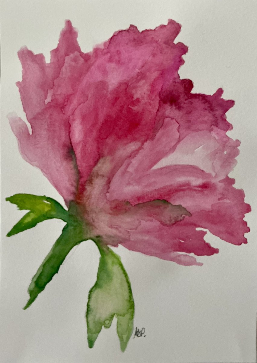 peony様❣️専用ページ peony - Search / X