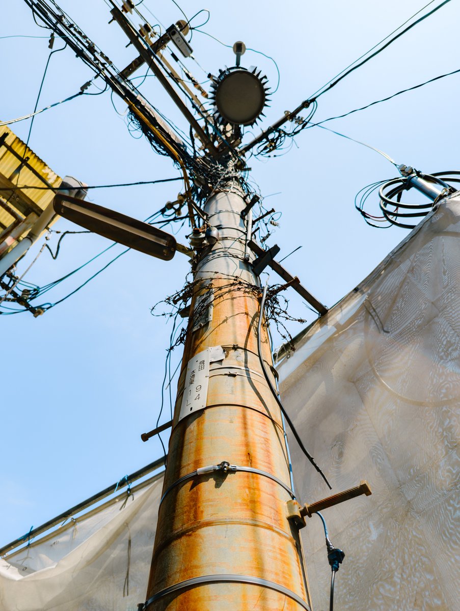 photowalking1's tweet image. Pixel 10 Proでスナップ。

ええ感じ？

Pixel10proの動画でズームテスト。

#Pixel10Pro #Madebygoogle #TeamPixel
@googlejapan