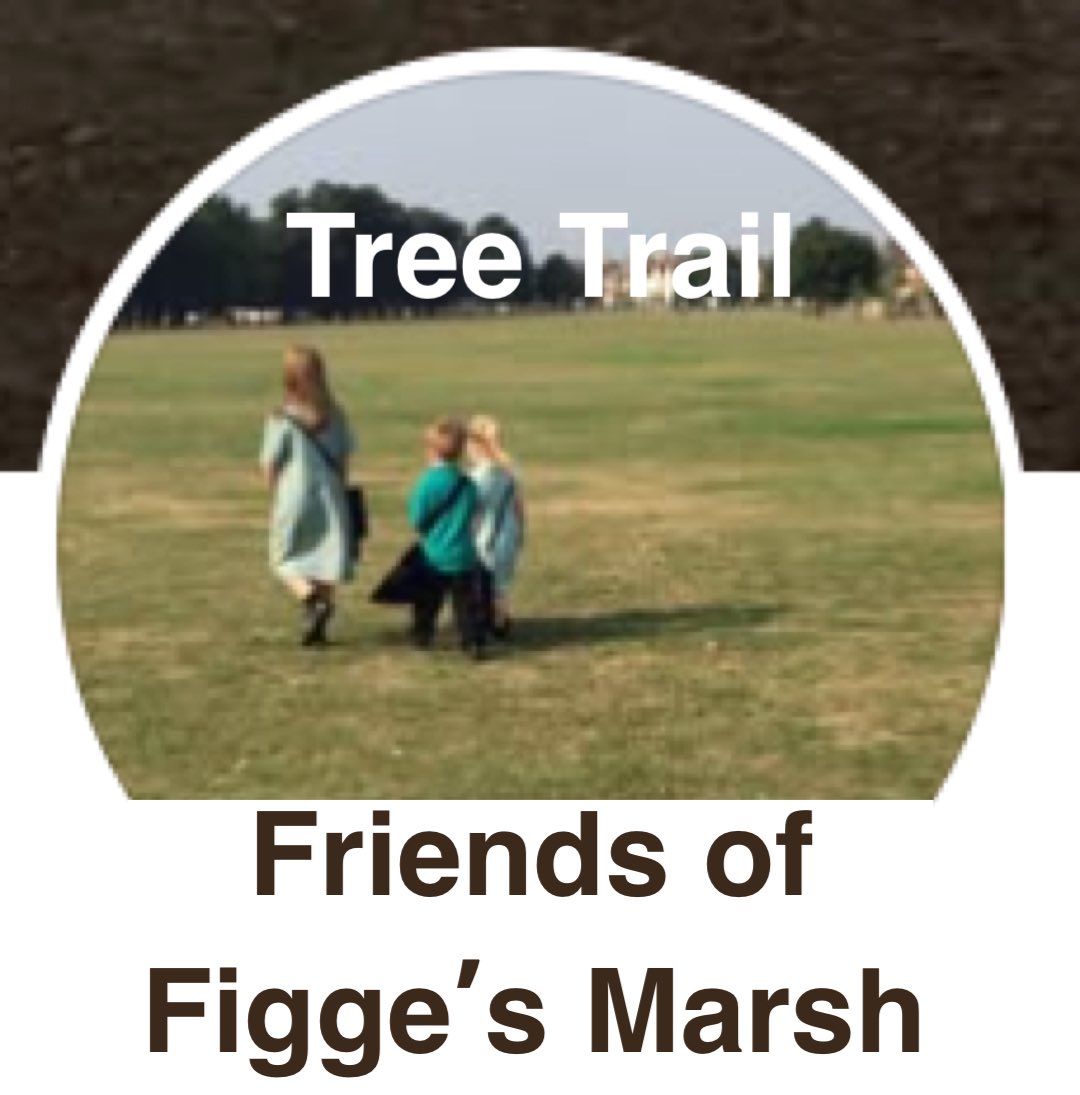 TiCLme's tweet image. Super pleased to join Laura @CPRELondon @goparkslondon creating a new #treetrail @Figges_Marsh @Merton_Council today in time for #WandleFortnight 13th-28th Sept @WandleForum  

You can see the trees on the trail @Figges_Marsh on the live map here:

ticl.me/friends-of-fig…