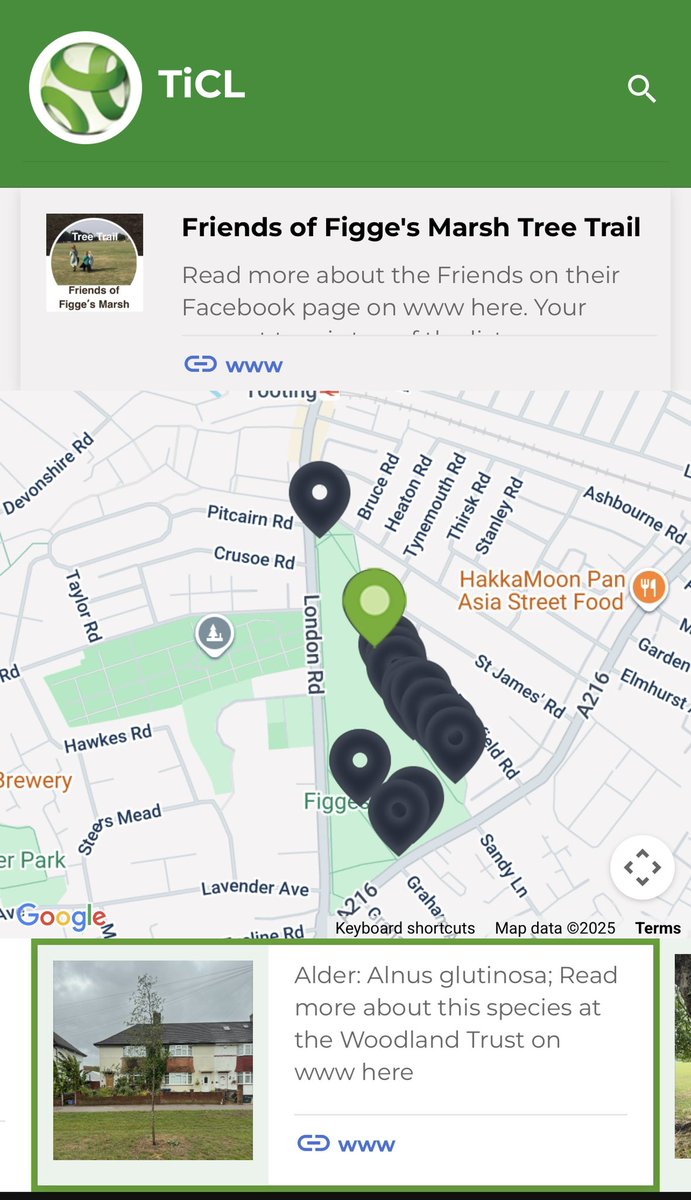 TiCLme's tweet image. Super pleased to join Laura @CPRELondon @goparkslondon creating a new #treetrail @Figges_Marsh @Merton_Council today in time for #WandleFortnight 13th-28th Sept @WandleForum  

You can see the trees on the trail @Figges_Marsh on the live map here:

ticl.me/friends-of-fig…