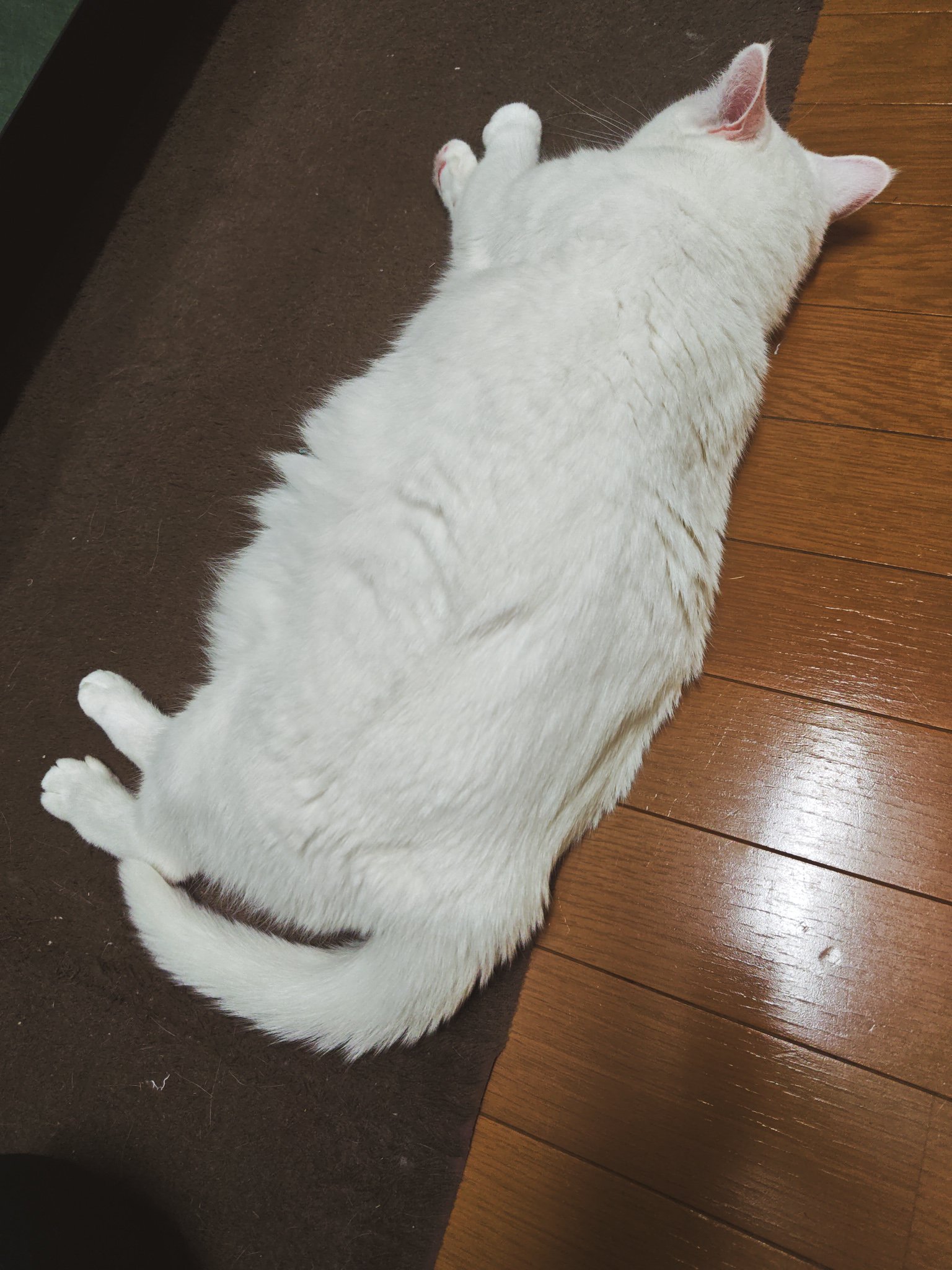 みーたんS15 (@NissanS15red) / X