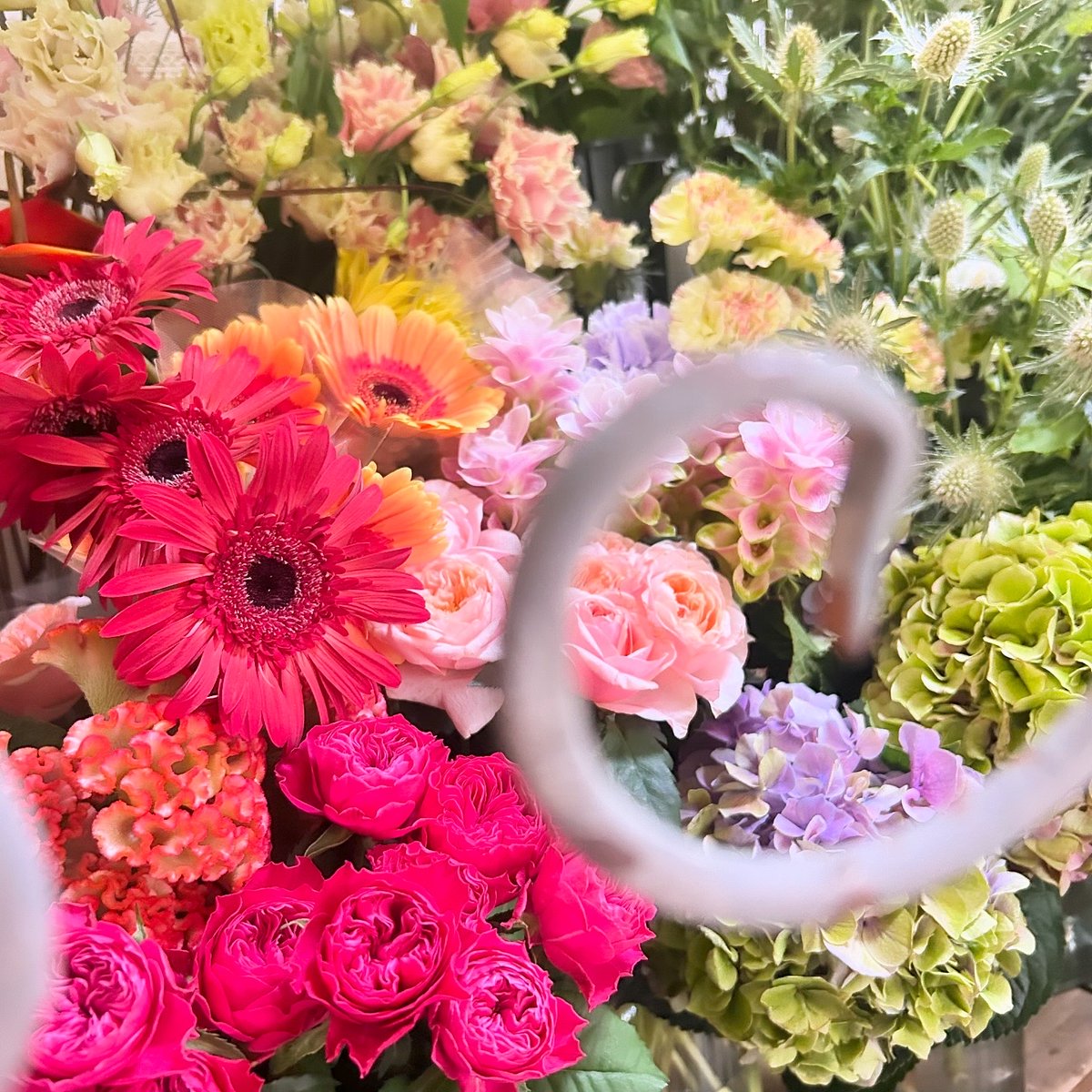 SHOParcobaleno's tweet photo. #9月／長月❦#SEPTEMBER
和名月名
夜長月・彩月・紅葉月・稲刈月・菊咲月など

夏と秋の境目の季節

#autumn #green #orange #pink #white #puple
#beautiful #nature #botanical #flowers #cute
#photography #photo #キリトリセカイ #暦
#ファインダー越しの私の世界 
#写真好きな人と繋がりたい #秋 https://t.co/yXp45el9Q9
