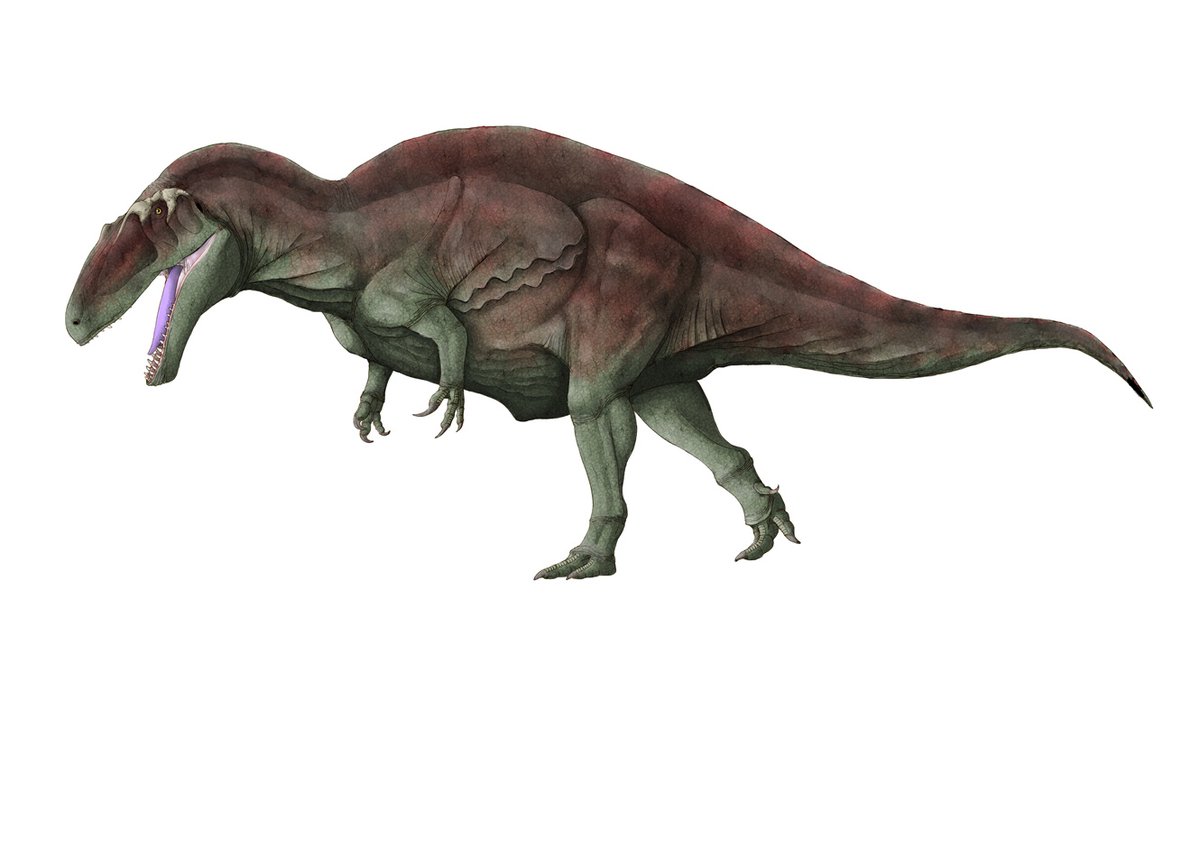 アクロカントサウルス\, image size:1200x848