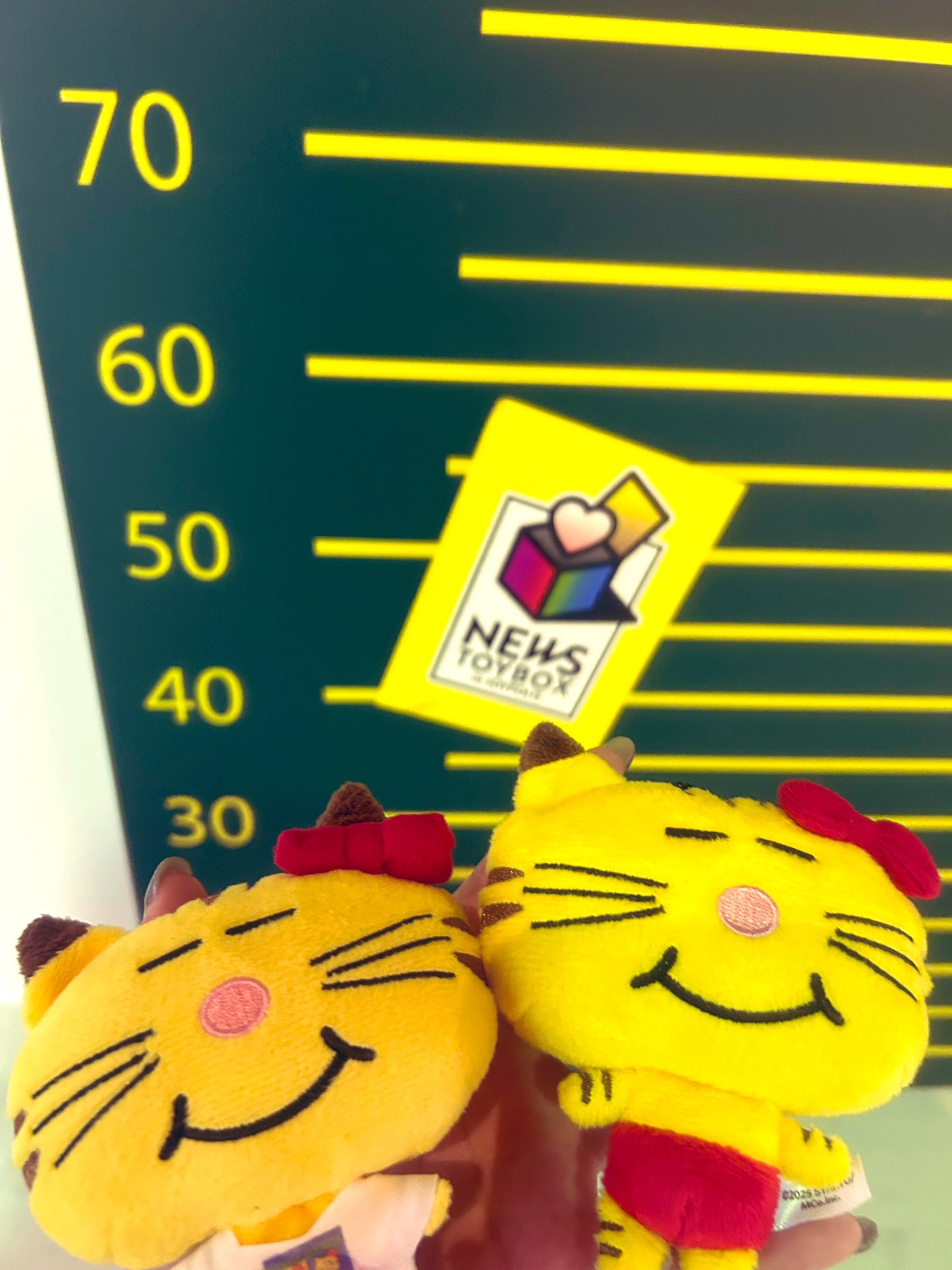 かんな•*¨*•.¸♬︎ お前の事は俺が守ってやるかんな。