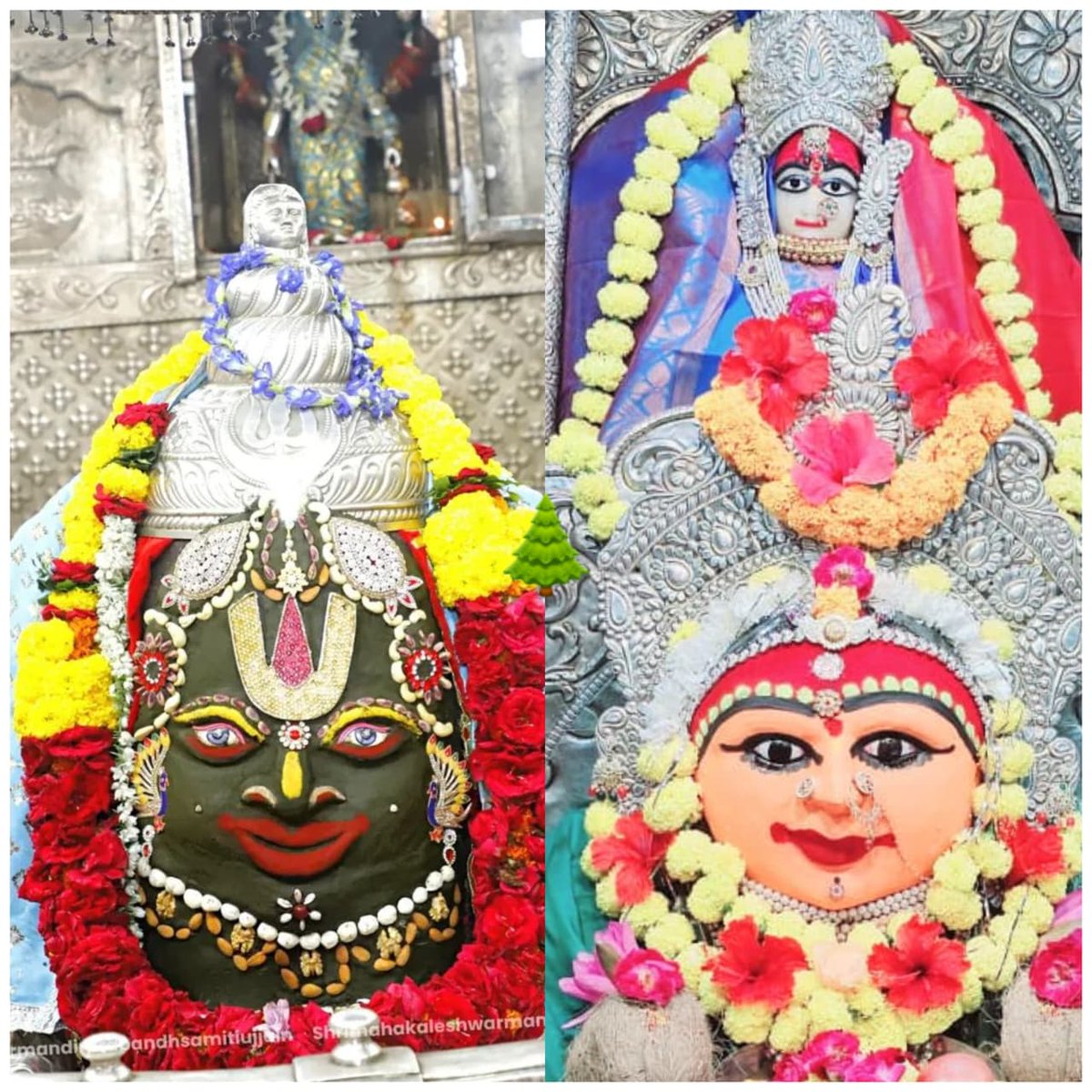 *🌲🌹जगत पिता-जगत माता*🌹🌲ॐ श्री महाकालेश्वराय नमः 
 दिनांक 03 सितंबर 2025 का ज्योतिर्लिंग भगवान श्री महाकालेश्वर जी का संध्या काल आरती श्रृंगार दर्शन🙏🏻🙏🏻🌹🌹