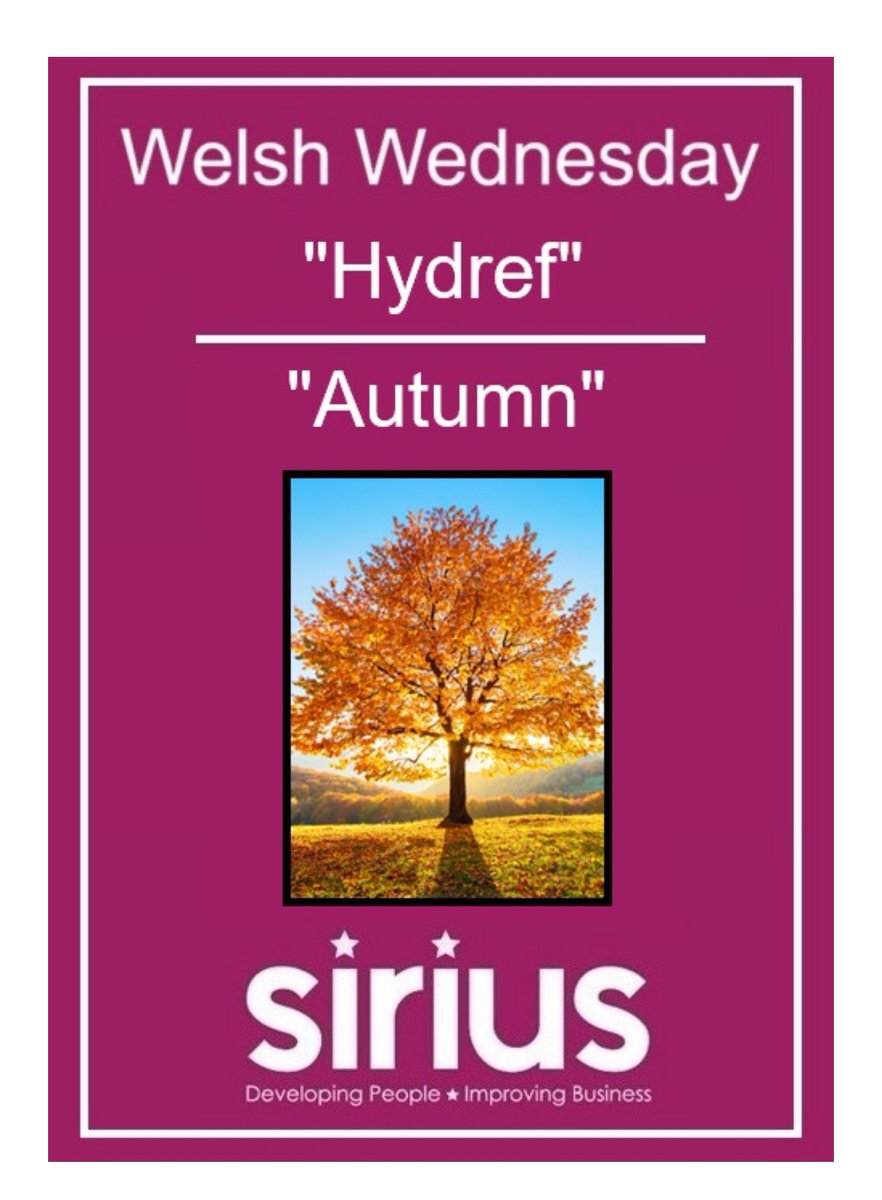 This week’s Welsh Wednesday is “Hydref” meaning “Autumn”
 
#welshwednesday #siriusskills #Hydref #NTFW