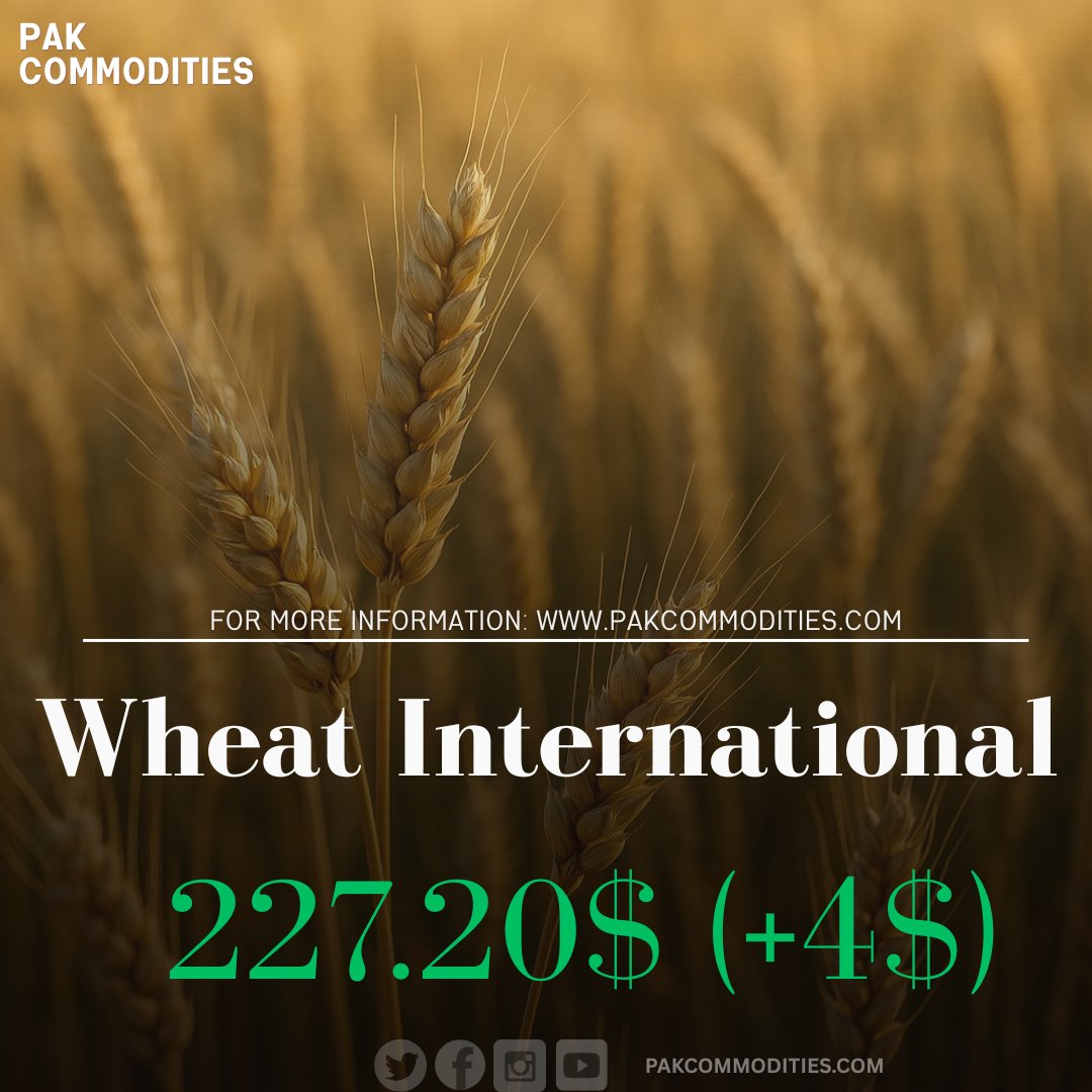 pakcommodities1's tweet image. Pak commodities Islamabad
#wheat #internationalmarket #pakcommodities