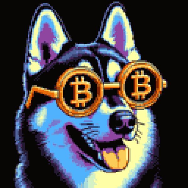 BitShades_com's tweet image. Introducing Ski-boo, the Norwegian Elkhound. 🐕

Ski-boo embodies #Pseudonymity in the #Bitcoin realm. Just like ordinals maintain their anonymity while revealing transaction history, Ski-boo is a guardian of secrets behind those stylish bitcoin sunglasses! 🌈

While the…