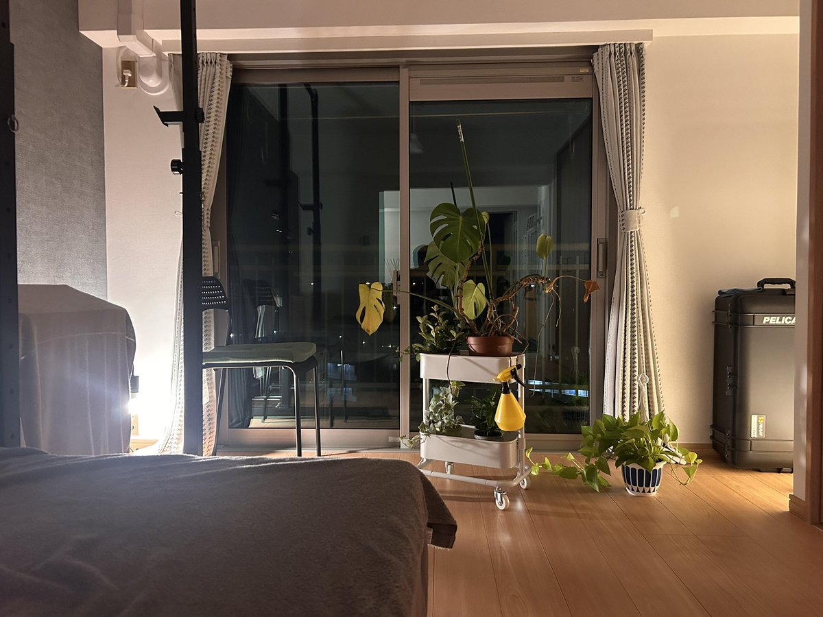 夜に溶けてゆく…
誰にも邪魔されないこの時間が好きだ。