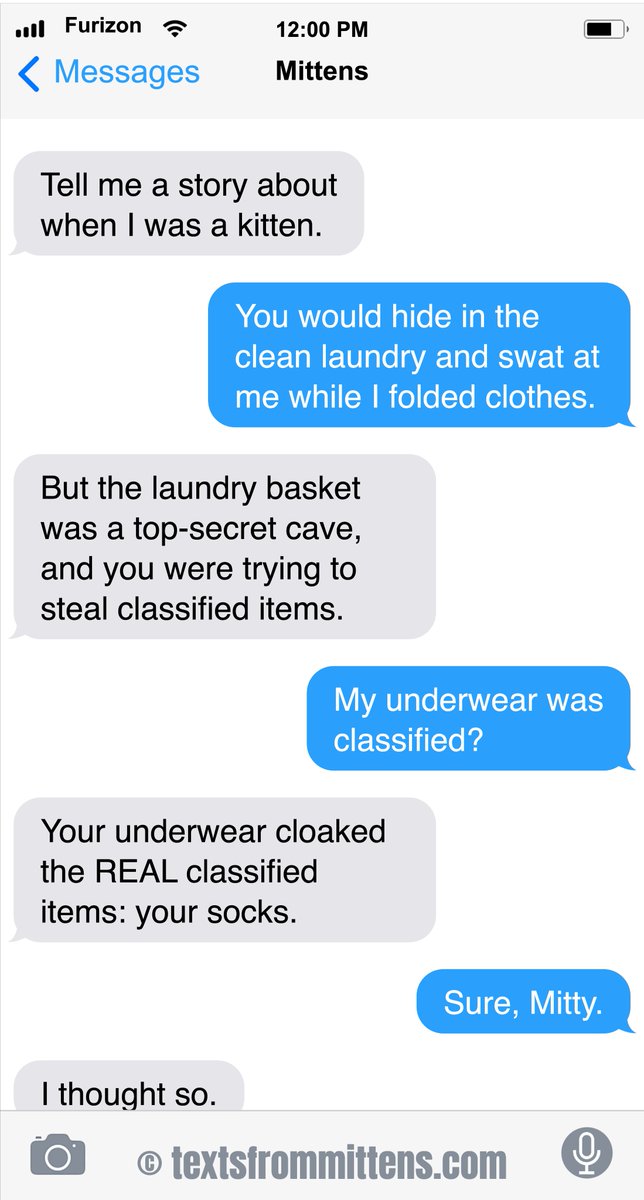 Texts from Mittens:  Classified                     
Order books and calendars anywhere you buy them! (also, there's a link in bio) Texts from Mittens, copyright 2013-2025  #textsfrommittens