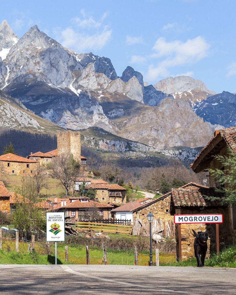 LosPueblosmbe's tweet photo. ⛰️ Mogrovejo (Liébana, Cantabria) es un auténtico viaje al pasado. Desde 2020 forma parte de Los Pueblos más Bonitos de España y pasear por sus calles es descubrir siglos de historia rodeados de un entorno natural único. 🌿✨

📍 Imprescindibles en tu visita:
🏡 Casco histórico con casas lebaniegas y viviendas nobiliarias (s. XVI-XVIII)
🛡️ Torre medieval del siglo XIII, emblema del pueblo
🏰 Casa señorial de los condes de Mogrovejo con capilla barroca
⛪ Iglesia de Ntra. Sra. de la Asunción, con la Virgen Milagrosa del s. XV
🏠 Casona de Vicente de Celis (s. XVI), ejemplo de arquitectura señorial

Un rincón que combina patrimonio, historia y naturaleza. 🌄

👉 ¿Lo apuntas para tu próxima escapada?

@cant_infinita @CantInfinita 
#Mogrovejo #CantabriaInfinita #PueblosBonitos #Liébana #TurismoRural #EscapadasConEncanto
