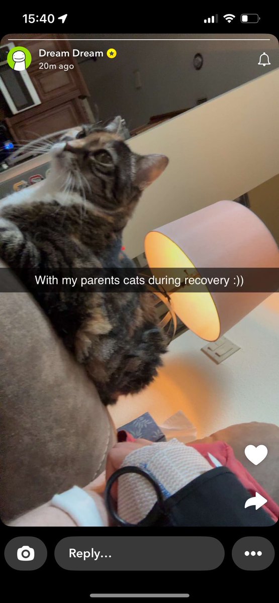 🇻🇳 maybe ⁰⁵⁵ tweet media