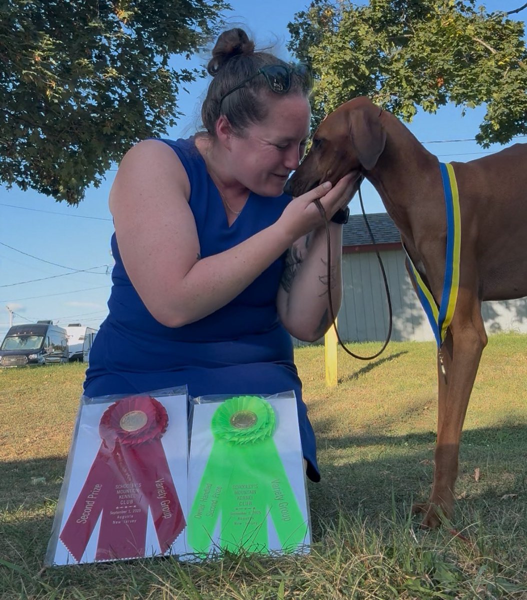 TwoMares's tweet image. I present to you: HER
*GROUP PLACING* Domiko Bejeweled
16 months old and pulling her first Group 2 😭 I love her