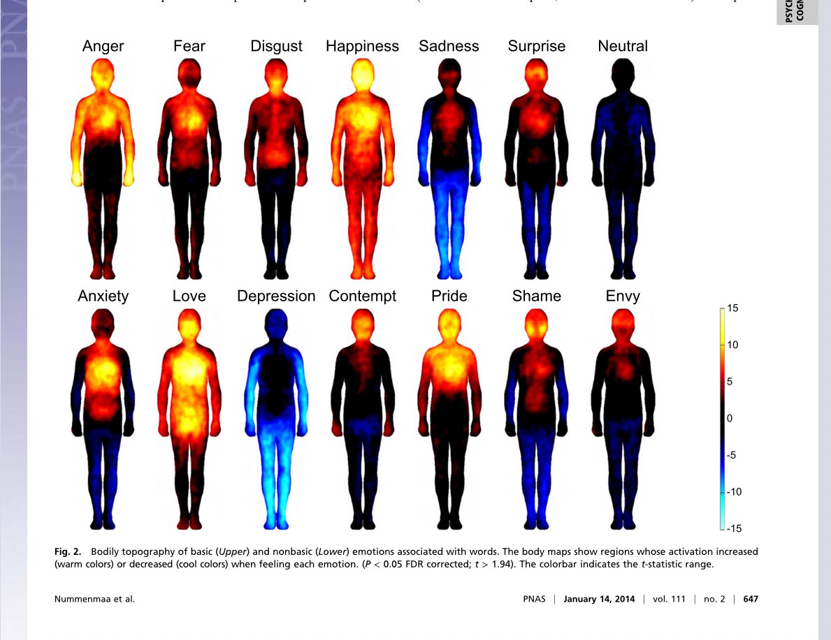 هذه ليست لوحات فنية، بل خرائط علمية لمشاعر الإنسان 🧠💔🙂

الحزن يُطفئ الجسد،
القلق يضغط صدرك،
الحب يشعل الدفء في الصدر،
الفرح يملأ الجسد بالحياة.
الاكتئاب يجمّد جسدك،
والحسد يحرق صدرك ورأسك

اختر مشاعرك بوعي، فأنت تعيشها في كل خلية منك.

﴿ألا بذكر الله تطمئن القلوب﴾ 💙