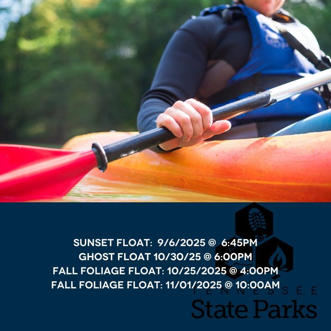 BoardSafe Docks tweet media