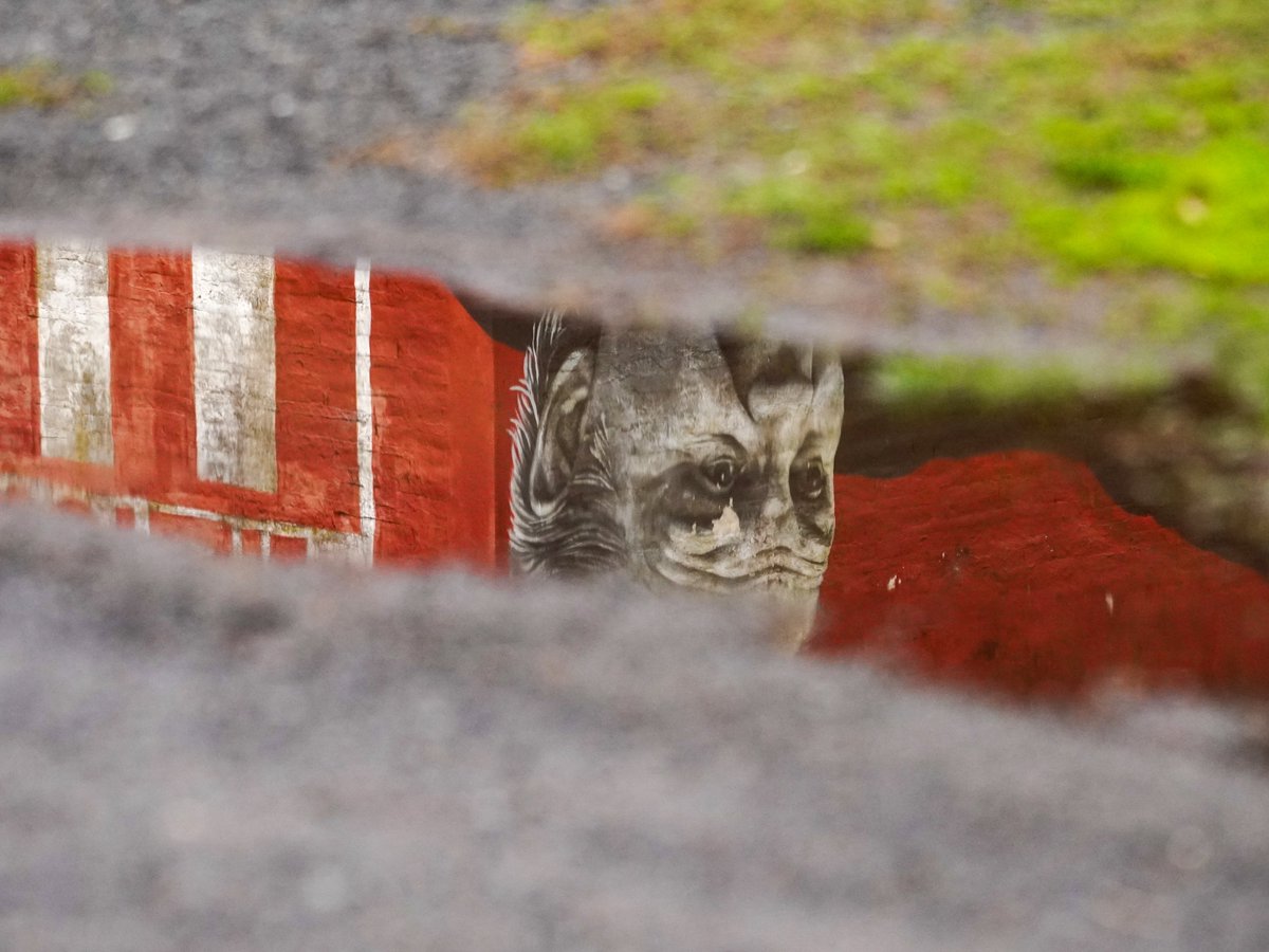 Por aquello que encontré en tus ojos ❤️🇦🇹.