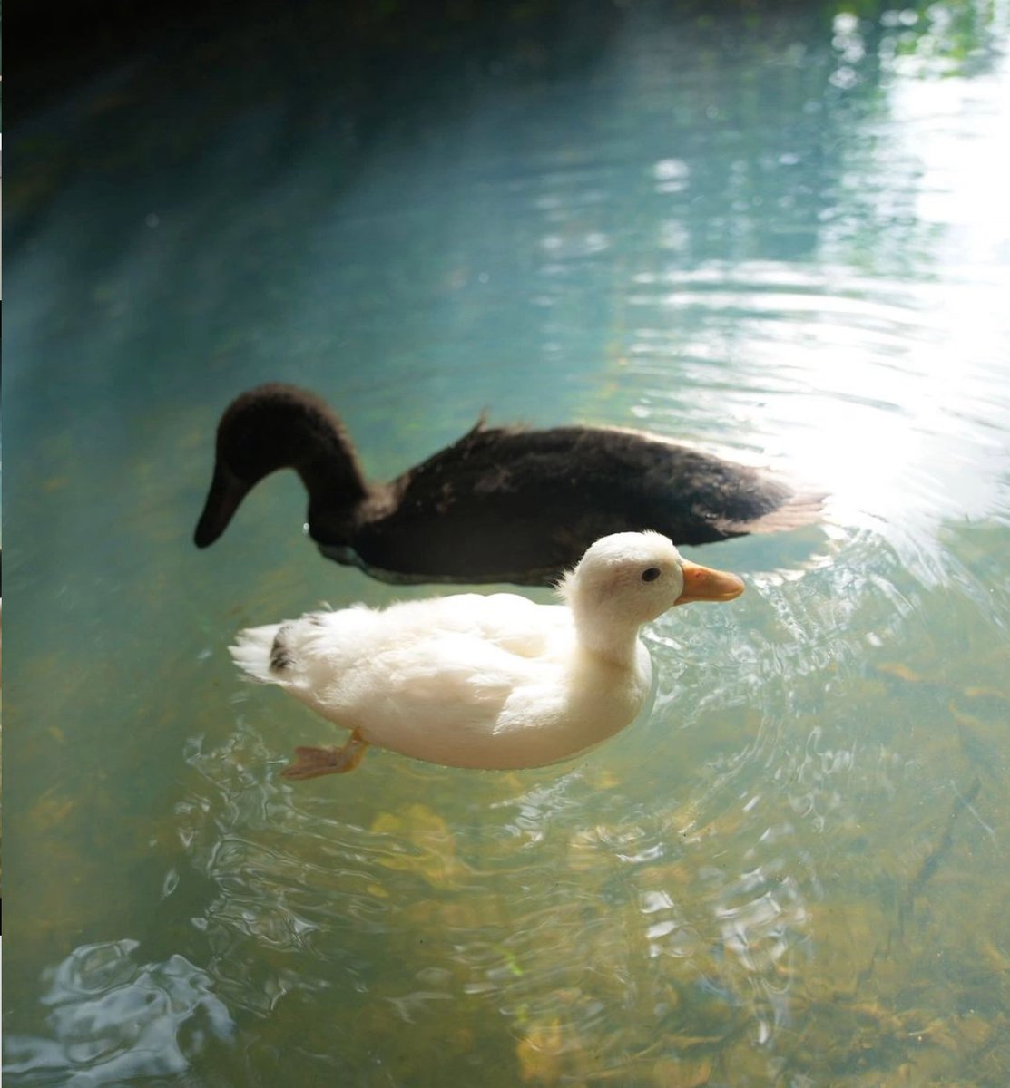 Life is as beautiful as you make it 

I love you