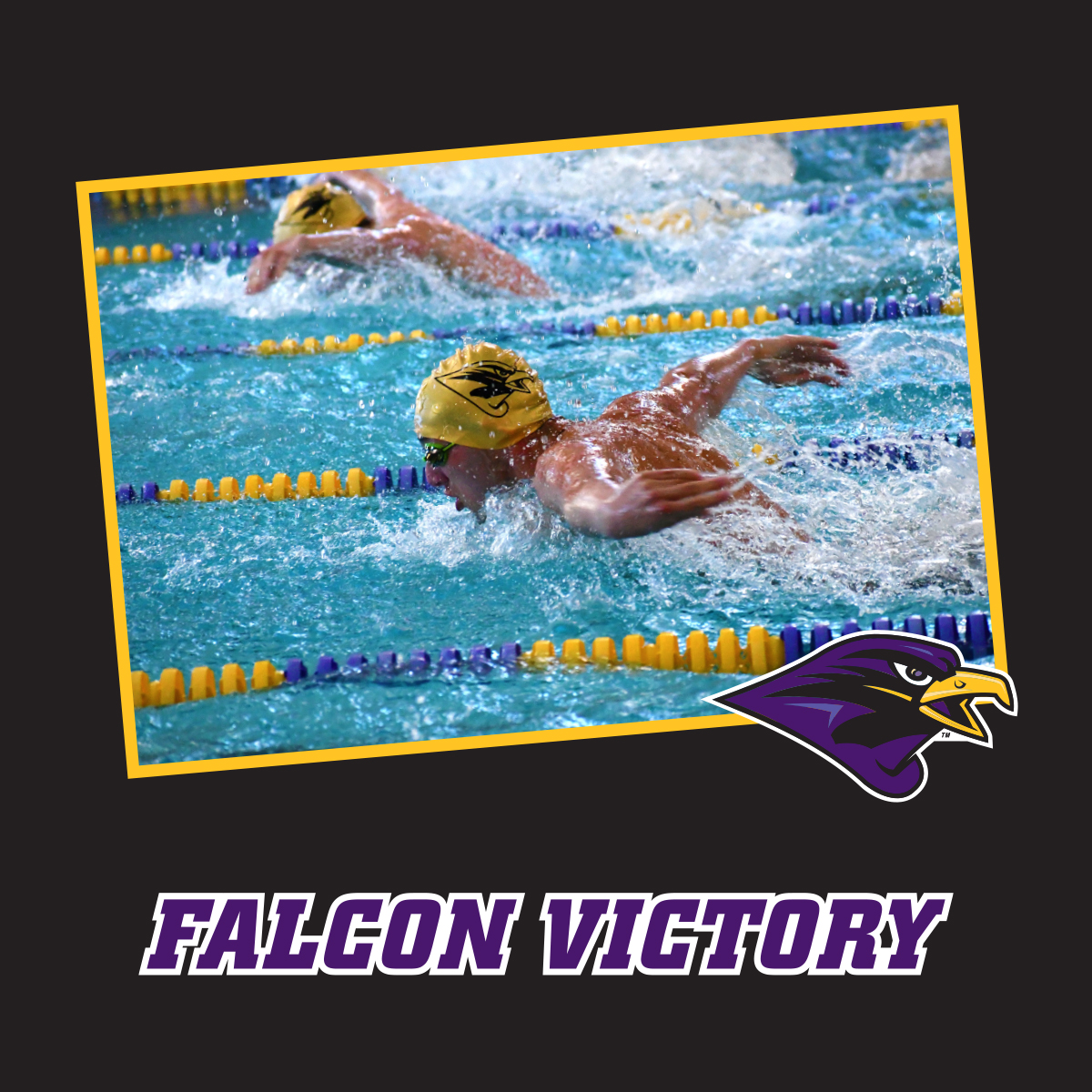 Calling our Falcon Family!  UM Swimming is back for the 4th Annual Falcon Victory Campaign, and we are more determined than ever to have success and achieve the Falcon Victory! Be a part of the victory by making a gift at givecampus.com/ebcdd6

#TogetherWeRise #FalconVictory25
