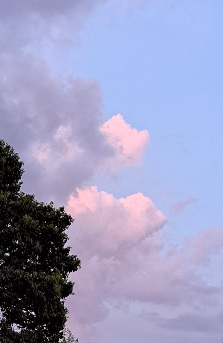 桃色の雲ページ コジとしんのかぁしゃん(kazu) on X: 