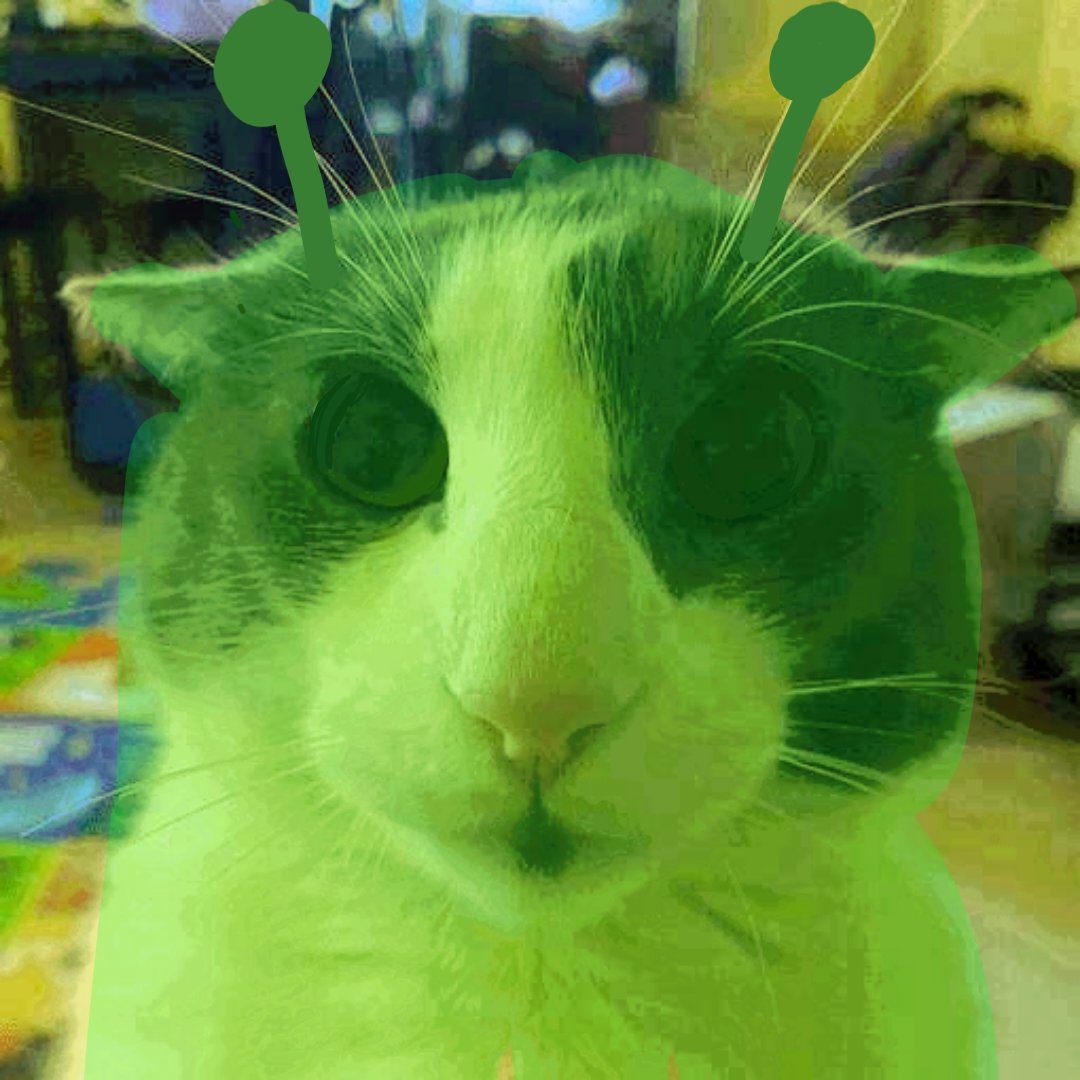 It's my soggy birthday please don't let any evil alien- oh fuck