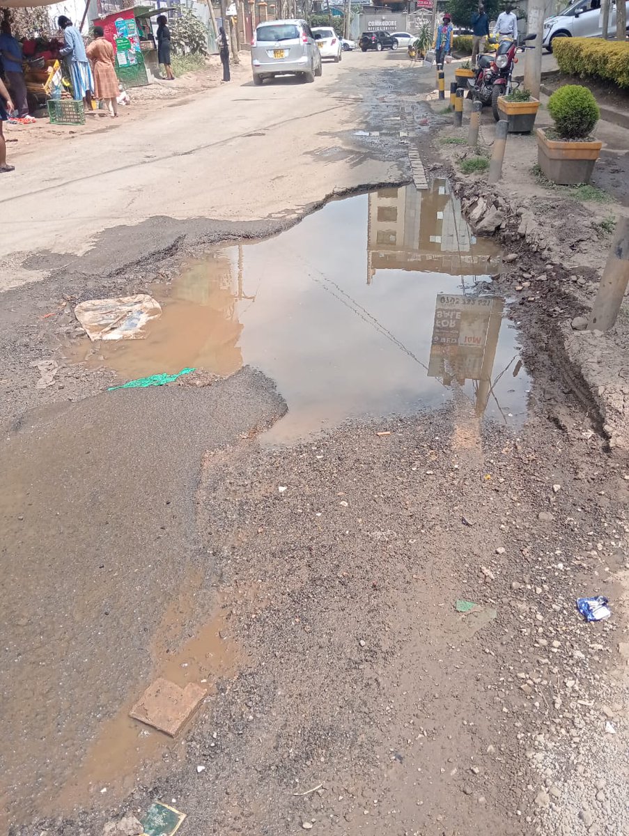 EcosystemPundit's tweet image. Govt should instead tarmac inaccessible  school roads in Northern Kenya 

#SaveKarura
#TarmacHereNotKarura
Protect Karura Forest