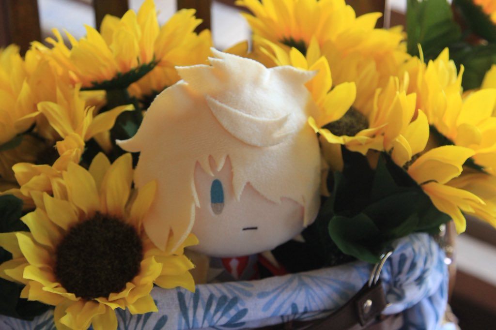 #8月を写真4枚で振り返る