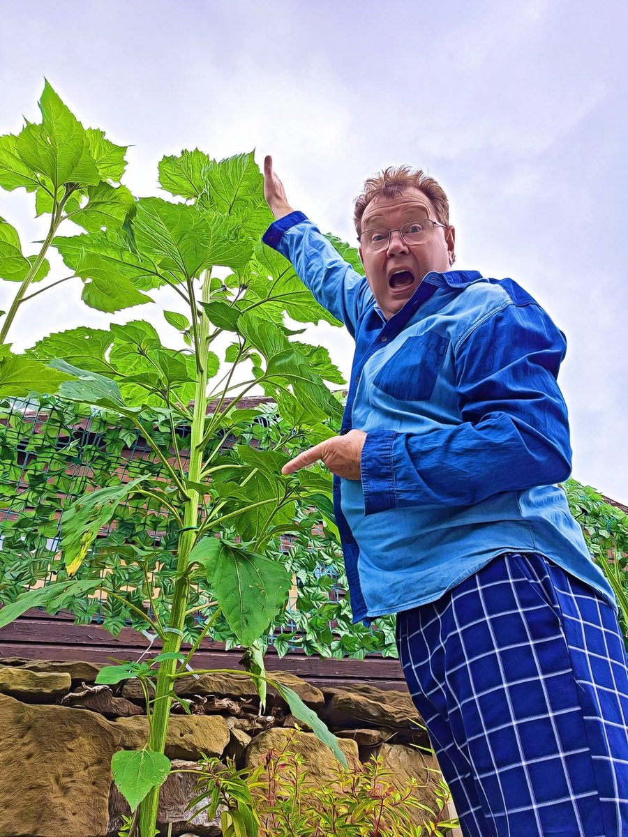 Andy Ford tweet media