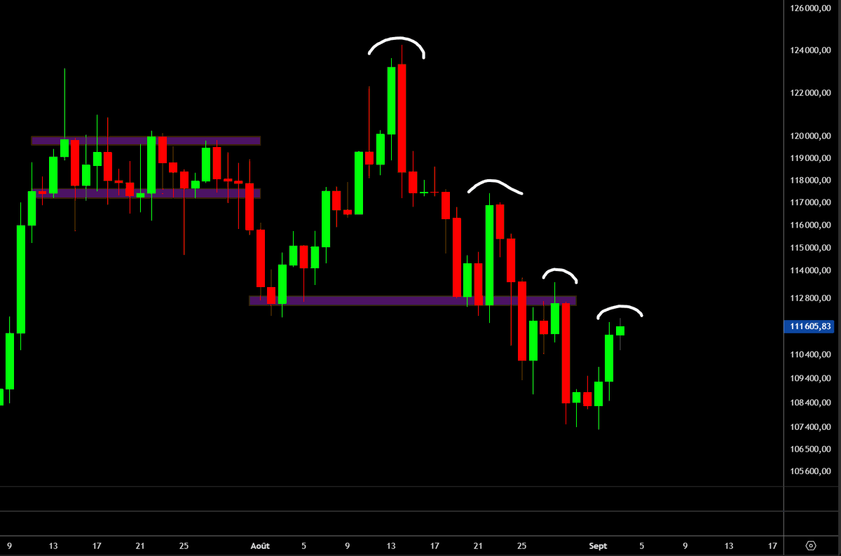 XVII (@M16Striker) / Posts / X