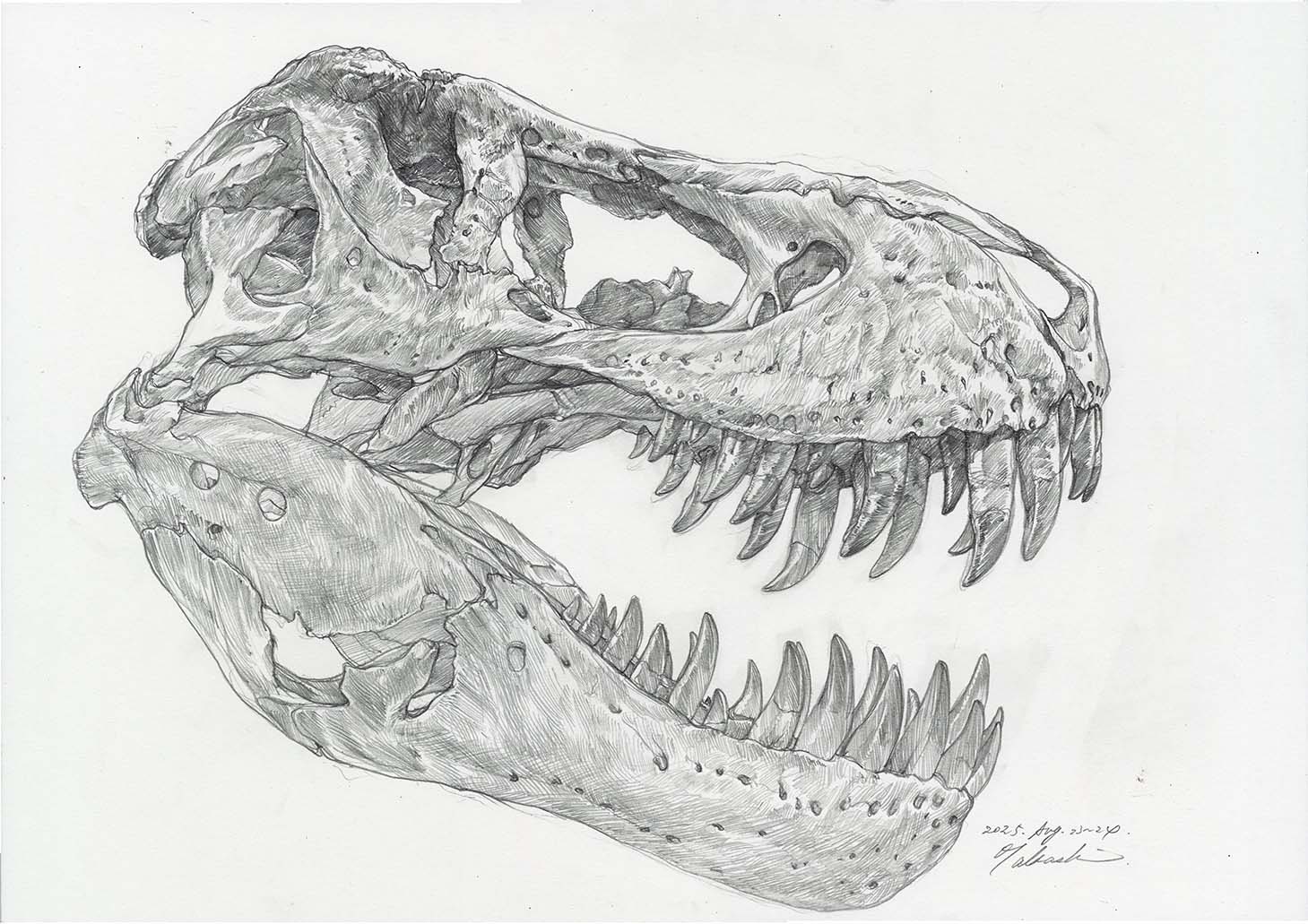【原画】『大陸間移動装置』（絵画　動物　チワワ　黒猫　植物　龍　苔　蛇） BOKUNEN ART GALLERY公式オンラインストア / 中