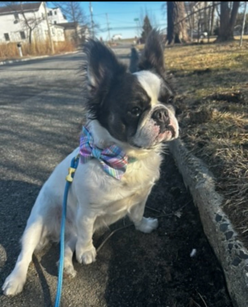 booyah (@sundayjeff) on Twitter photo 