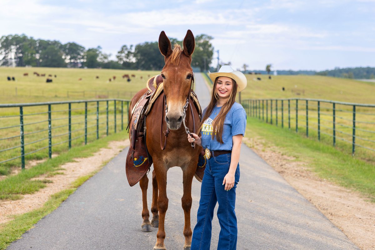 We are thrilled to announce that Caroline Rankin has been selected as the next SAU Mulerider! With her selection, Rankin joins the rich history of students who have proudly taken the reins of this cherished tradition.

To learn more, please visit bit.ly/464PDCf.