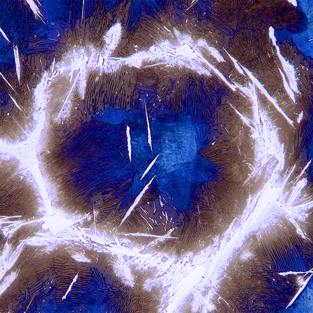 buehler_itw's tweet image. The September 2025 #Buehler #microstructure Calendar Winner is from ~ Natalie Wajs and Gabe Lucas: Scot Forge, IL, USA. Cast Wootz ingot showing a ringed carbide, etched with Beraha’s Sulfamic Acid No. 1.