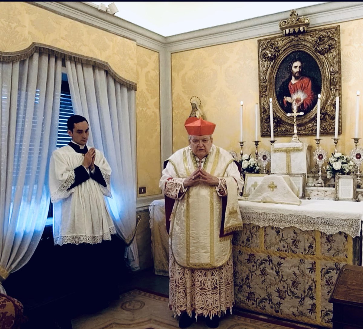 On the Traditional Feast of St. Giles, our Shepherd, Cardinal Burke, offered the Holy Sacrifice of the Mass for all the intentions of the Rosary Warriors of Operation Storm Heaven from his private chapel in Rome. Link youtube.com/watch?v=9xB4Hq… to view. The homily begins at 28:45.