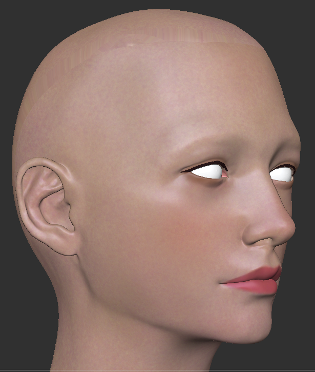 wip

ZBrushがUDIM非対応なので、頭のテクスチャ表示が破綻する
（なんかやり方あるのかな？）

#3DCG #zbrush