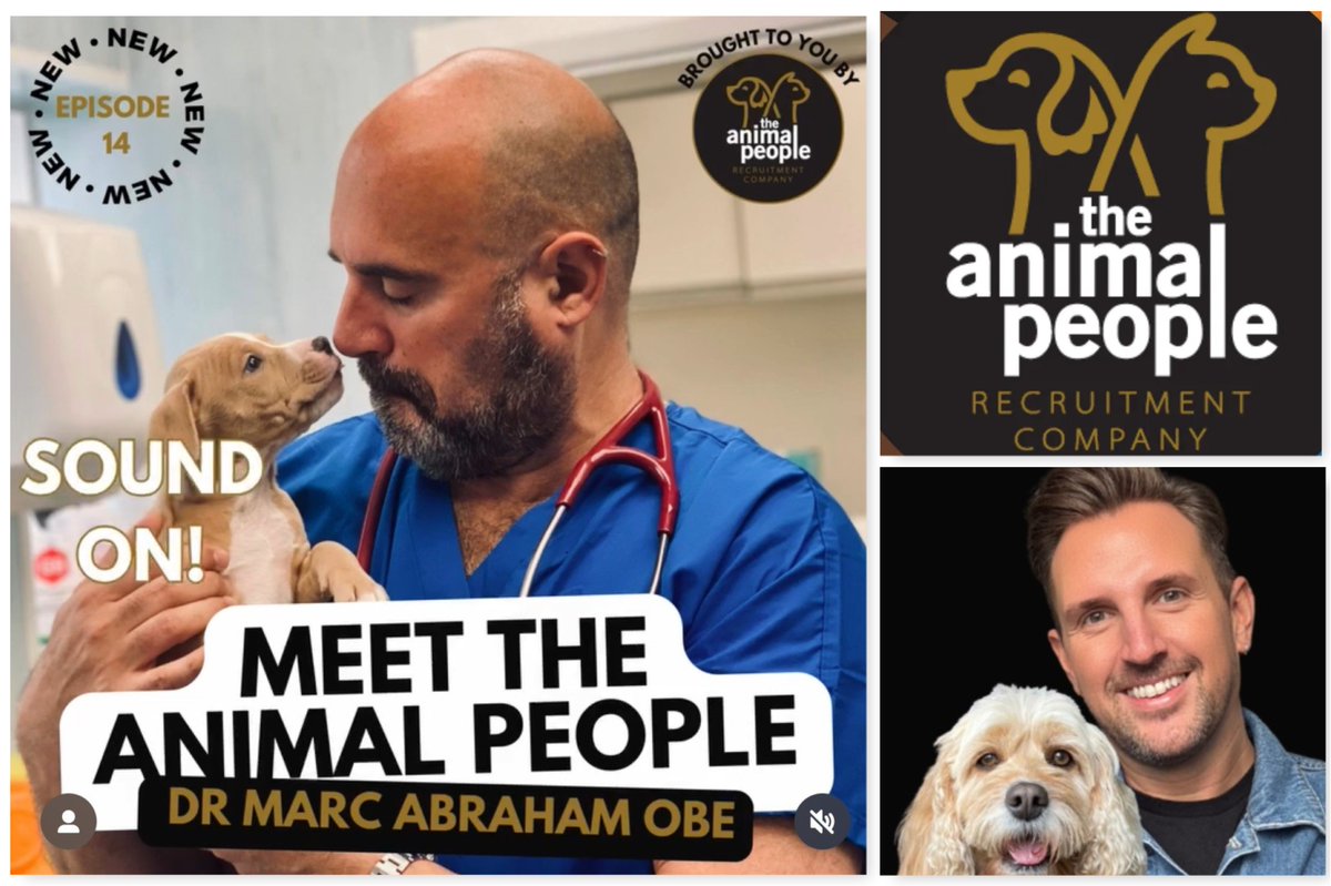 PODCAST: Always lovely chatting with Chris Watling on another #MeetTheAnimalPeople episode. This time we discussed communication in vet practice, #LucysLaw, role of media &amp; socials in campaigning, plus story behind #Dogspiracy. Listen here: open.spotify.com/episode/3ao5st… #AnimalWelfare