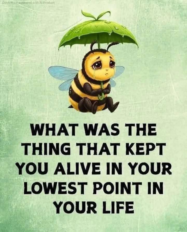 Julia Sutton Books tweet media