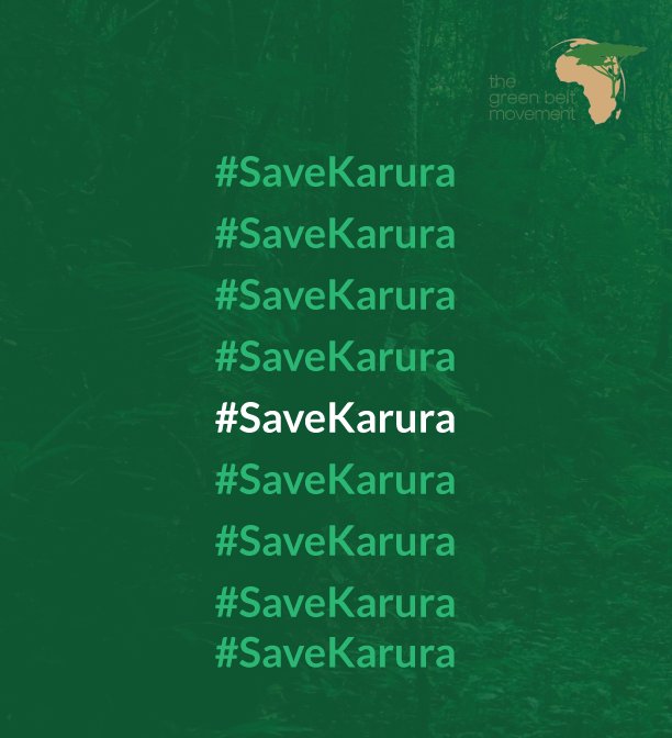EcosystemPundit's tweet image. 🌍✊🏾 Karura is a sanctuary!
We refuse to watch decades of community-led conservation &amp;amp; Prof. Wangari Maathai’s legacy  erased.
#SaveKarura #TarmacHereNotKarura