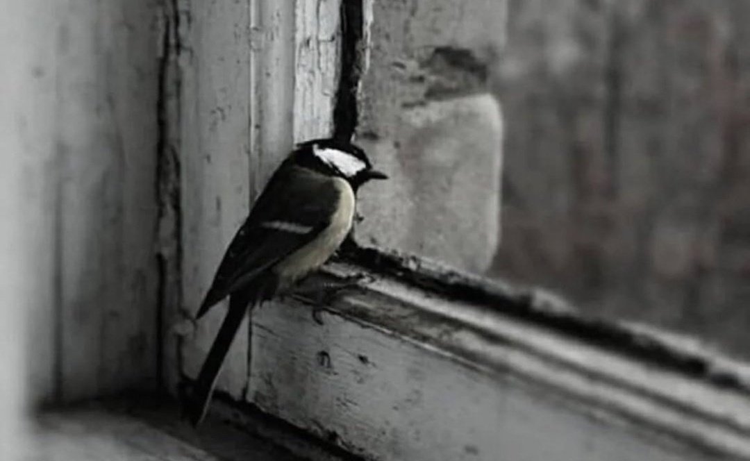 "Kimseler anlamamış seni,
ruhunu küstürmüşler."