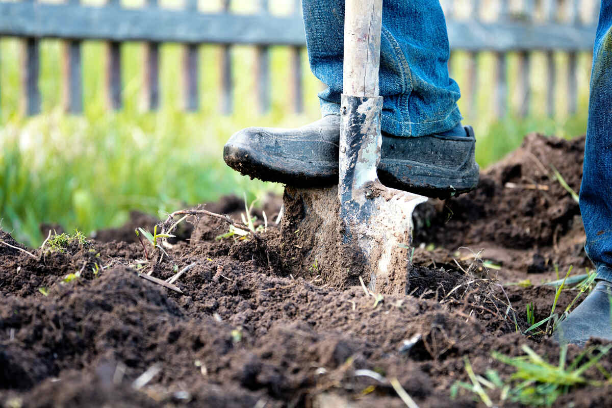 JenniferJefcoat's tweet photo. Plan smart: mark utility lines and choose no-dig or shallow-dig designs for safe landscaping! 💪

Discover top tips for landscaping around buried cable lines. 😉

#Landscaping #GardenTips
 https://t.co/4nQhodBEgd https://t.co/d2TsLDnbkw