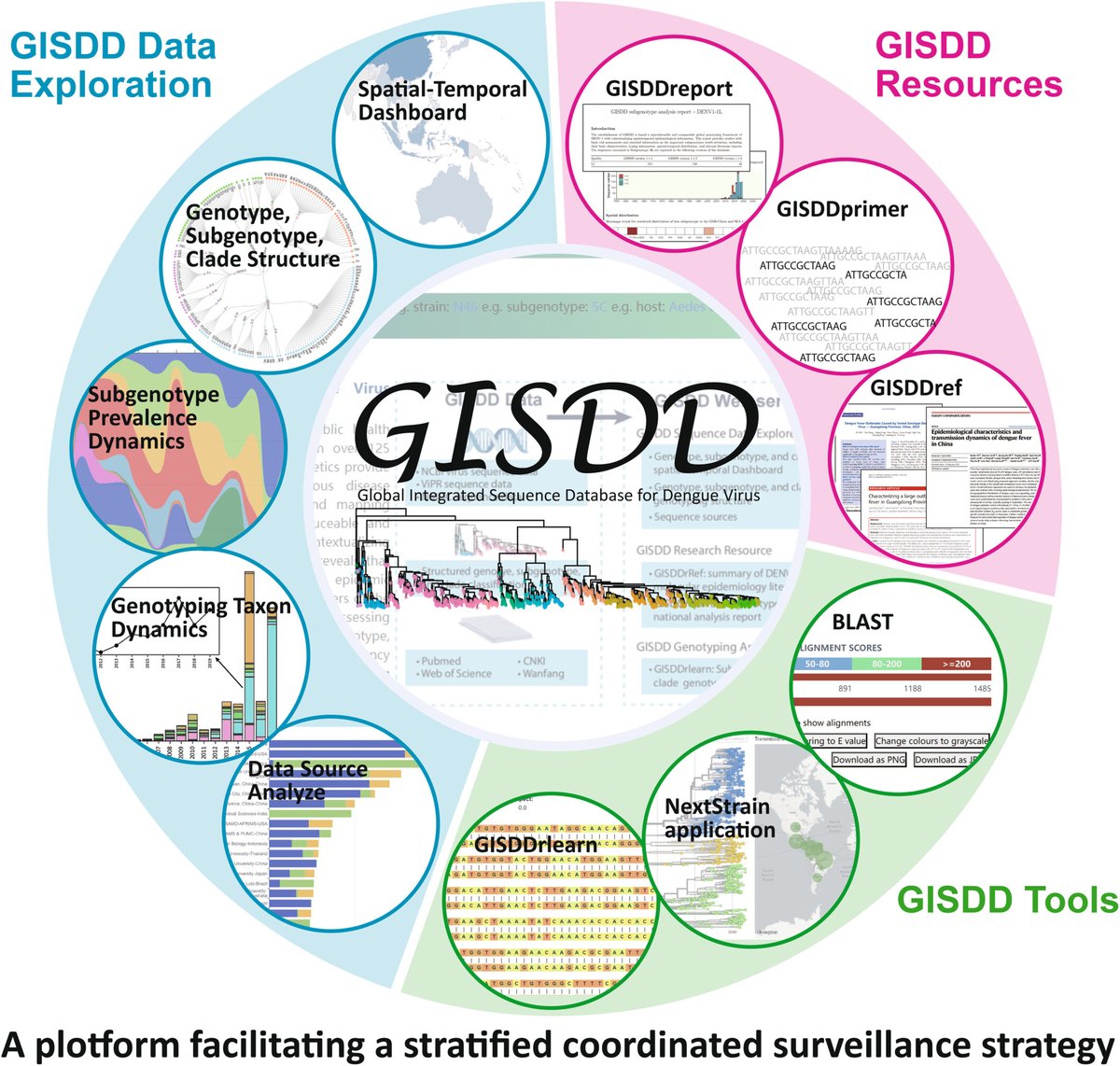 iMetaScience's tweet photo. 🌐 Meet GISDD — an #AI-powered #Bioinformatics platform for fast dengue virus (DENV) genotyping & tracing.
Upload your sequence ➡️ get instant genotype, origin & risk insights.
Supporting global DENV surveillance & collaboration.
#DENV #Genomics #PublicHealth https://t.co/bx183t1uN3